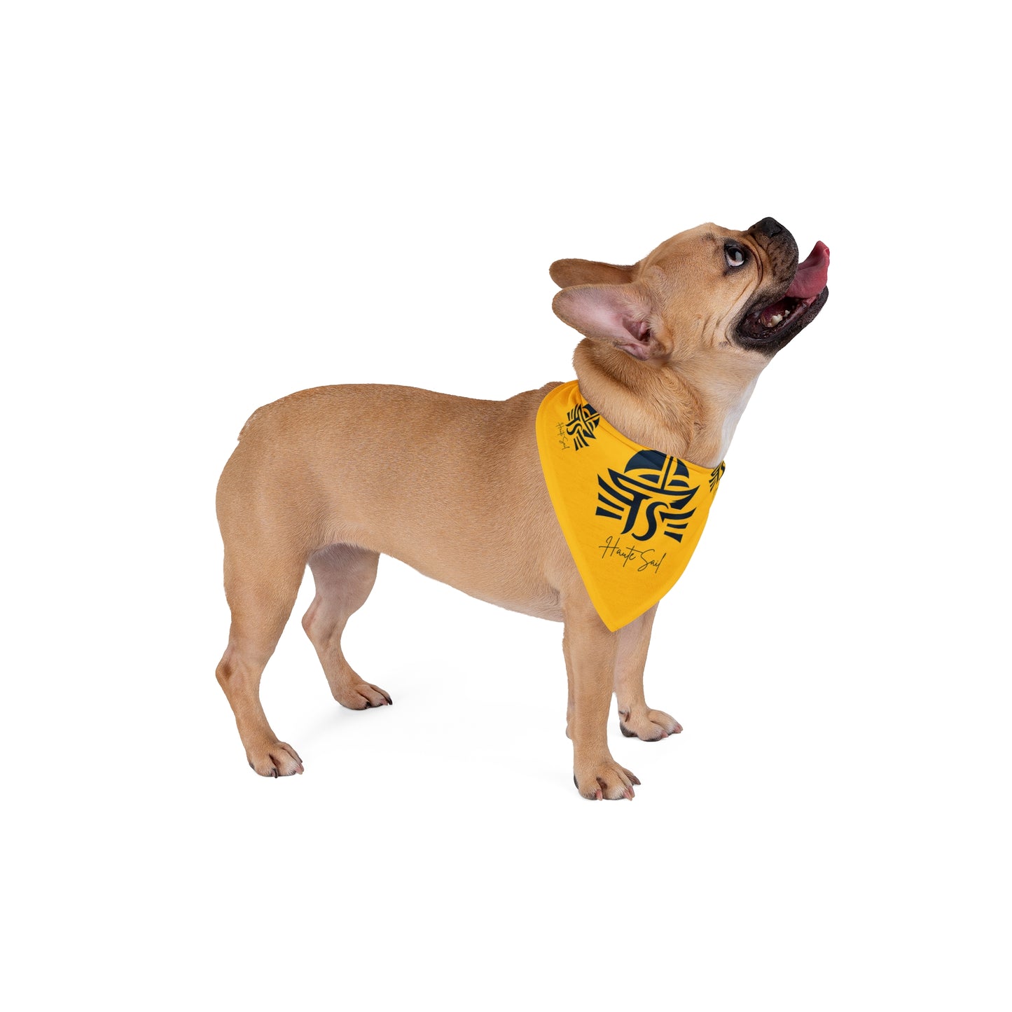 Pet Bandana Haute Sail Style